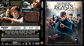 Fantastic_Beasts_4k_Custom.jpg