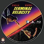 Teminal_Velocity_Label.jpg