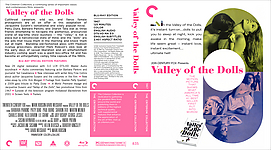 Valley_of_the_Dolls_Criterion_Custom.jpg