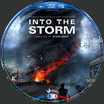 Into_the_Storm_Blu-ray_3D_Disc_Label_2015_RHE.jpg