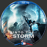 Into_the_Storm_Blu-ray_3D_Disc_Label_2015_RHE1.jpg