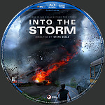 Into_the_Storm_Blu-ray_Disc_Label_2015_RHE.jpg