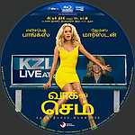 Walk_of_Shame_TAMIL_Blu-Ray_Disc_2014dec.jpg