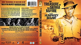 The_Treasure_Of_The_Sierra_Madre__1947__R1_CUSTOM.jpg