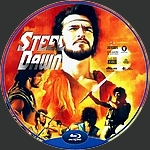 Steel_Dawn_D.jpg