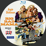 Filename=Big_Bad_Mama_Bluray_Disc.jpg
Filesize=1255KiB
Dimensions=1500x1500
Date added=Sep 07, 2020 Big_Bad_Mama_Bluray_Disc.jpg