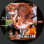 Big_Bad_Mama_II_Bluray_Disc.jpg