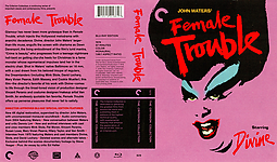 Female_Trouble.jpg