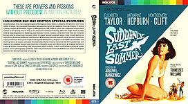 Filename=Suddenly_Last_Summer.jpg
Filesize=4646KiB
Dimensions=3173x1748
Date added=Apr 12, 2025 Suddenly_Last_Summer.jpg