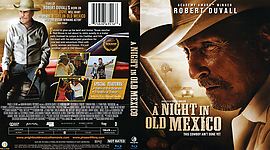 a_night_in_old_mexico.jpg