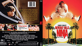 beverly_hills_ninja.jpg