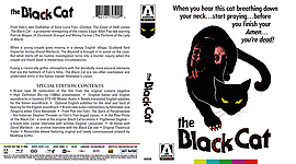 the_black_cat_cover_2.jpg