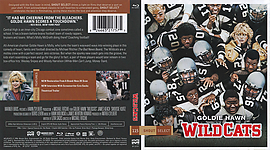 wildcats.jpg
