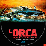 Filename=L_orca_assassina_cd_copia.jpg
Filesize=516KiB
Dimensions=1000x1000
Date added=Sep 12, 2025 L_orca_assassina_cd_copia.jpg