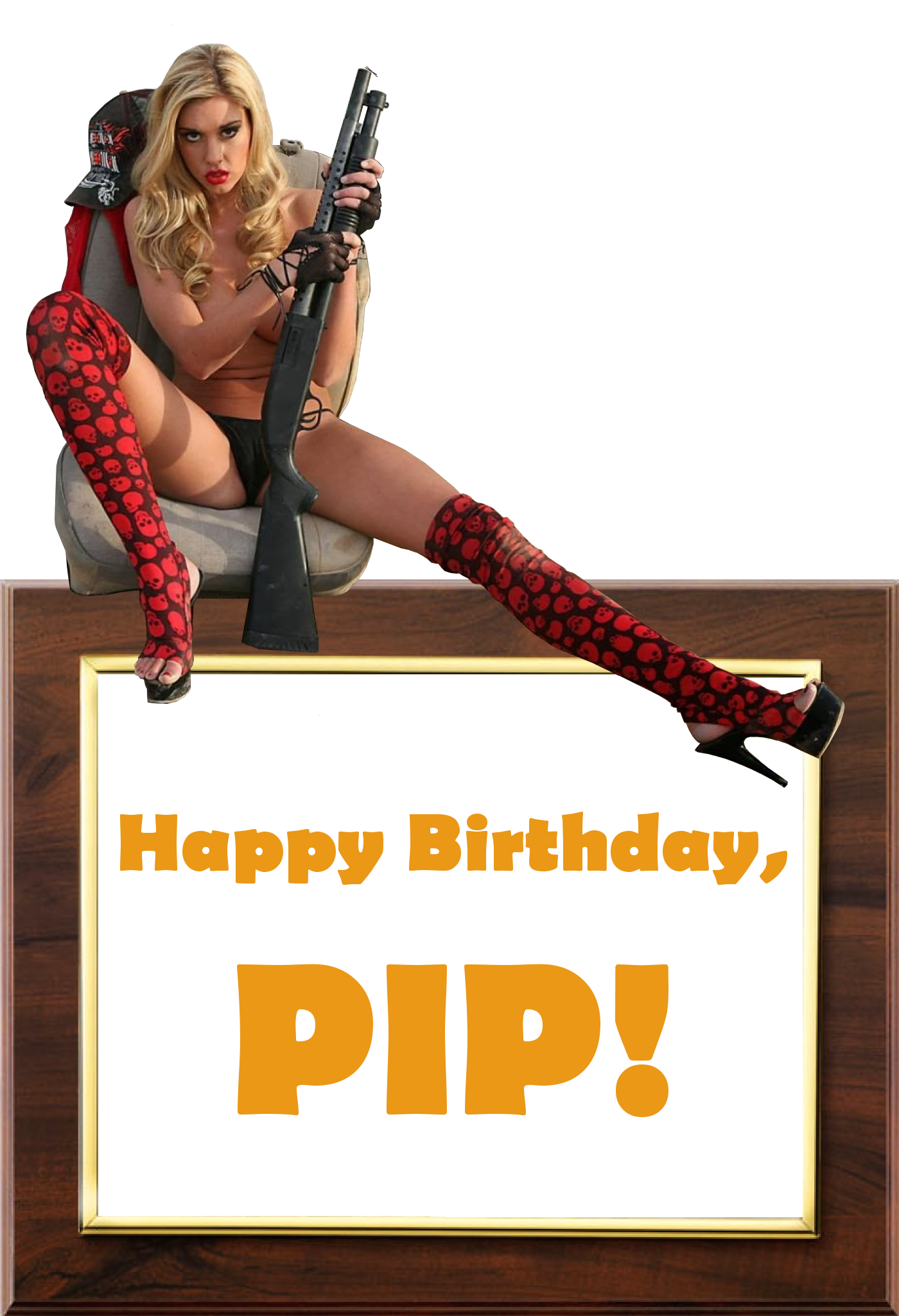 happybirthdaypip.png